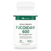 Extra Strength Fucoidan 600