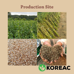 Korean Mildly Roasted Pure Sesame Oil 180ml (100% Korean Sesame Seeds) 한국 참기름